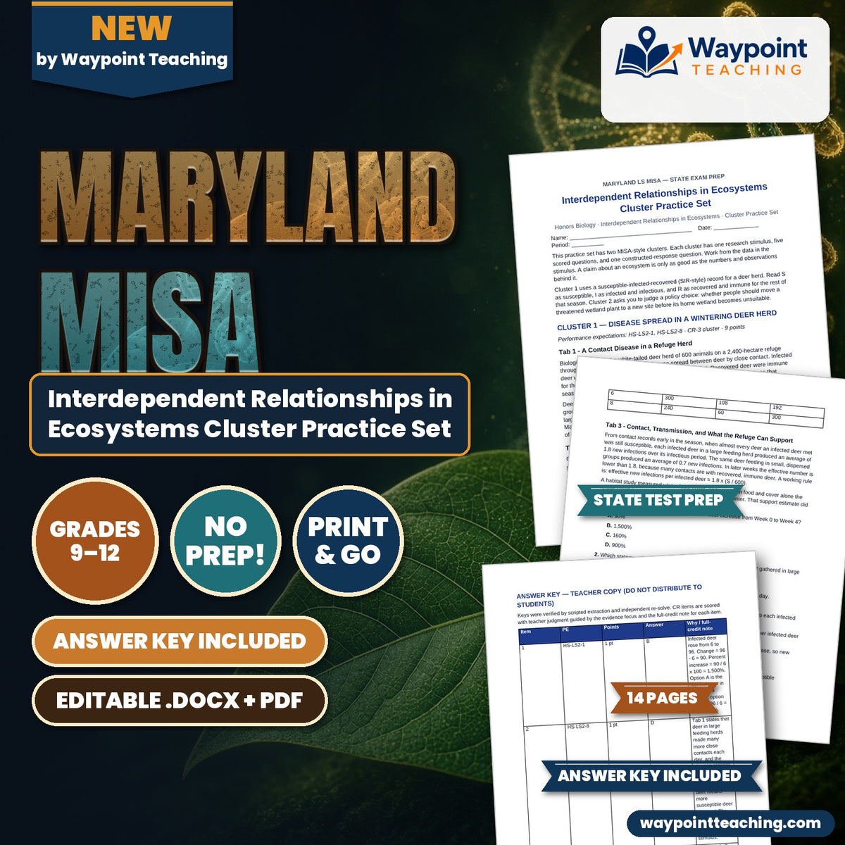 Maryland MISA Interdependent Relationships in Ecosystems Cluster Practice Set cover