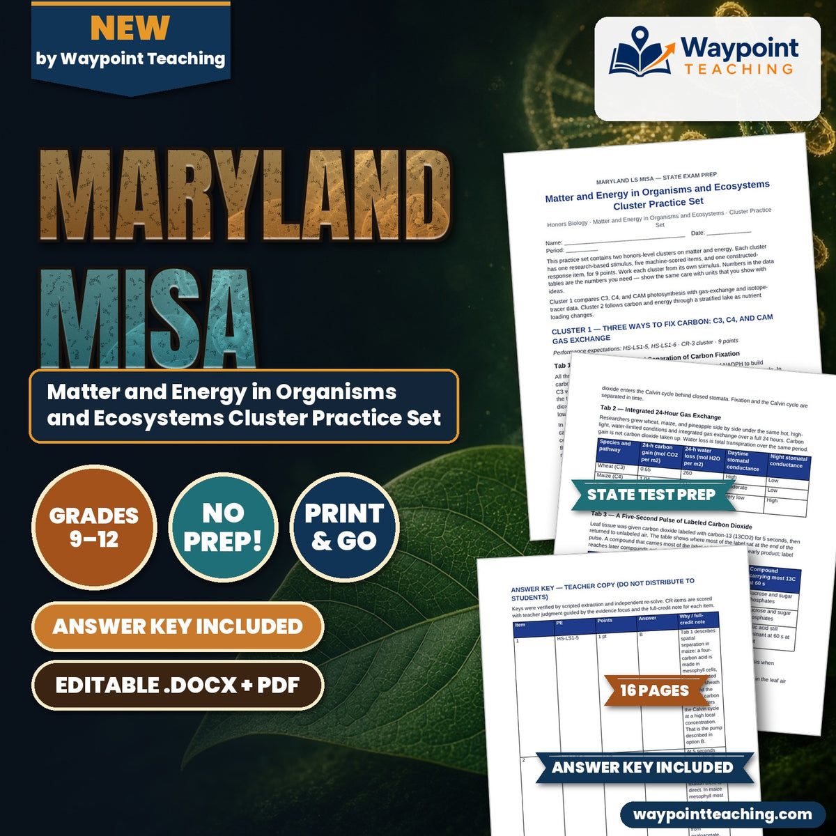 Maryland MISA Matter and Energy in Organisms and Ecosystems Cluster Practice Set cover
