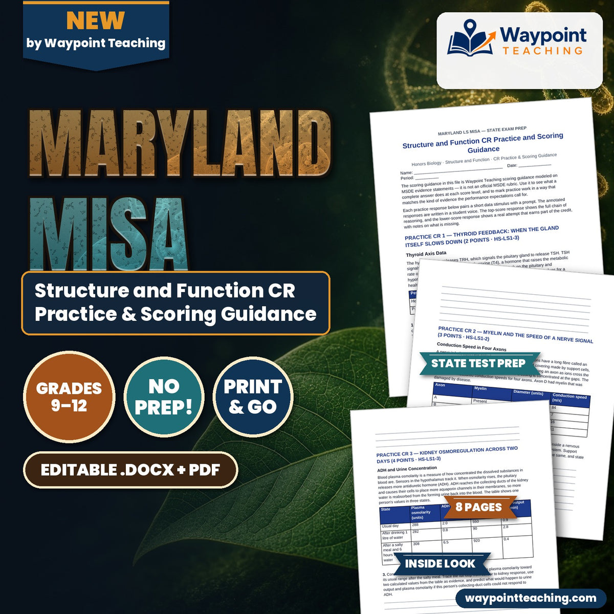 Maryland MISA Structure and Function CR Practice & Scoring Guidance cover