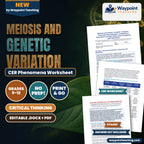 Meiosis and Genetic Variation: Synapsis, Chiasmata Recombination, Independent Assortment, and Non-Disjunction Aneuploidy CER Phenomena Worksheet cover