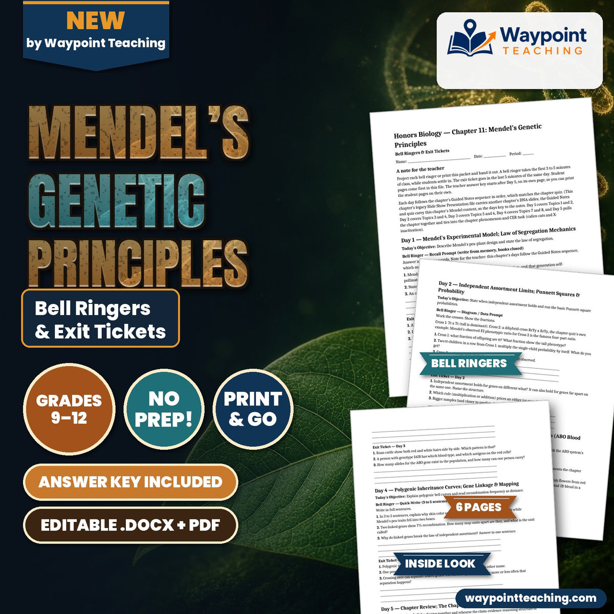 Mendel’s Genetic Principles Bell Ringers & Exit Tickets cover
