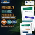 Mendel’s Genetic Principles Differentiation Stations cover
