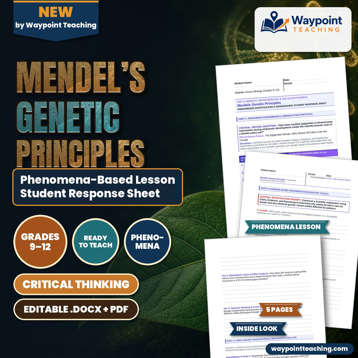 Mendel’s Genetic Principles Phenomena-Based Lesson: The Epigenetic Mosaic: Why Almost All Calico Cats Are Female Student Response Sheet cover