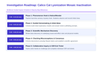 Mendel’s Genetic Principles Scaffolded Phenomena-Based Lesson: The Epigenetic Mosaic: Why Almost All Calico Cats Are Female Presentation sample page