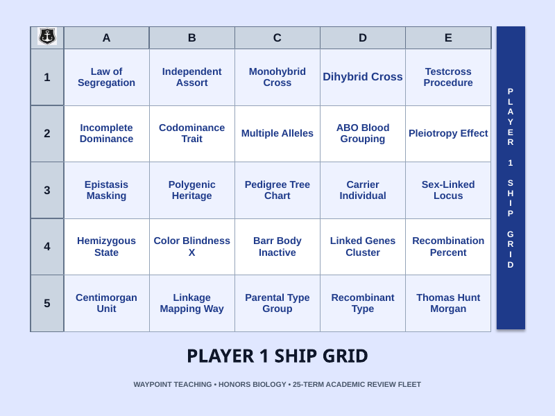 Mendel’s Genetic Principles Sea Battle Review Game sample page