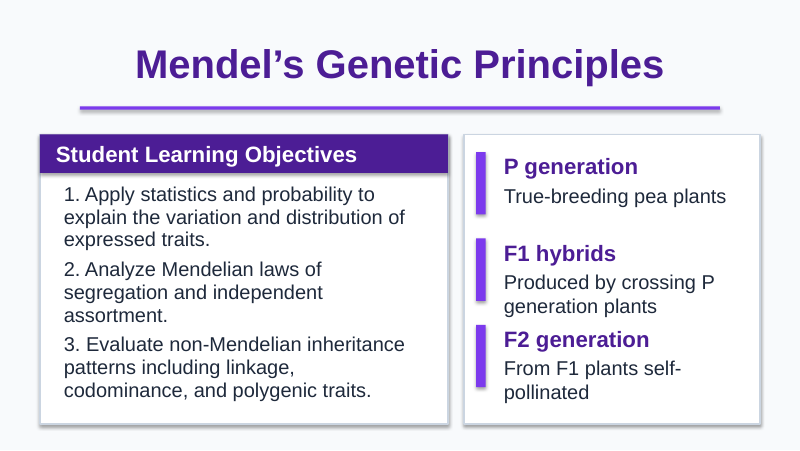 Mendel’s Genetic Principles Slide Show Presentation sample page