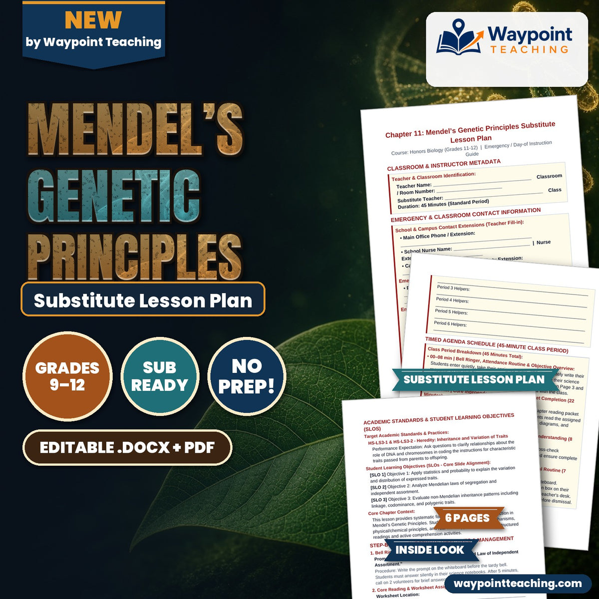 Mendel’s Genetic Principles Substitute Lesson Plan cover