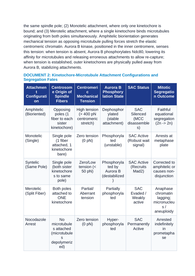 Mitosis and Faithful Chromosome Segregation: Kinetochore Tension, the Spindle Assembly Checkpoint, and Aneuploidy Prevention CER Phenomena Worksheet sample page