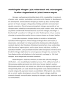 Modeling the Nitrogen Cycle: Haber-Bosch and Anthropogenic Fixation Reading Worksheet sample page