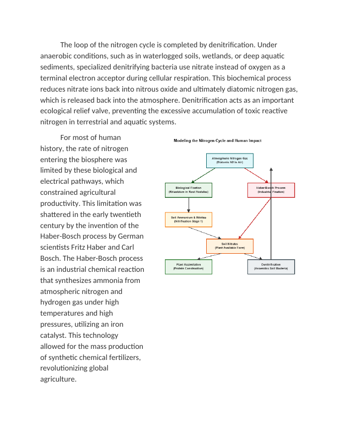Modeling the Nitrogen Cycle: Haber-Bosch and Anthropogenic Fixation Reading Worksheet sample page