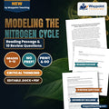 Modeling the Nitrogen Cycle: Haber-Bosch and Anthropogenic Fixation Reading Worksheet cover