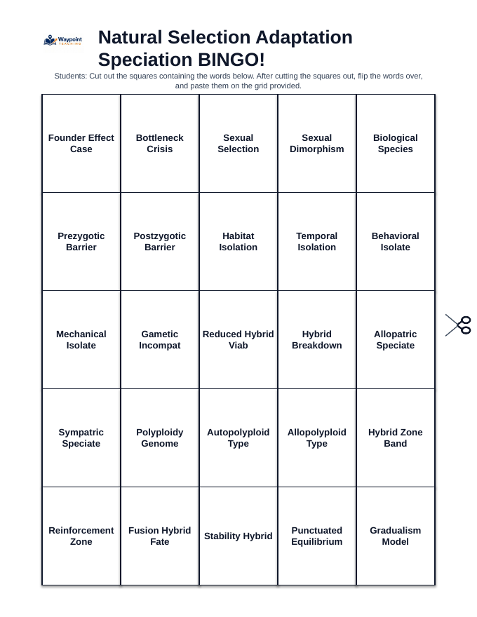Natural Selection, Adaptation, & Speciation BINGO Review Game sample page