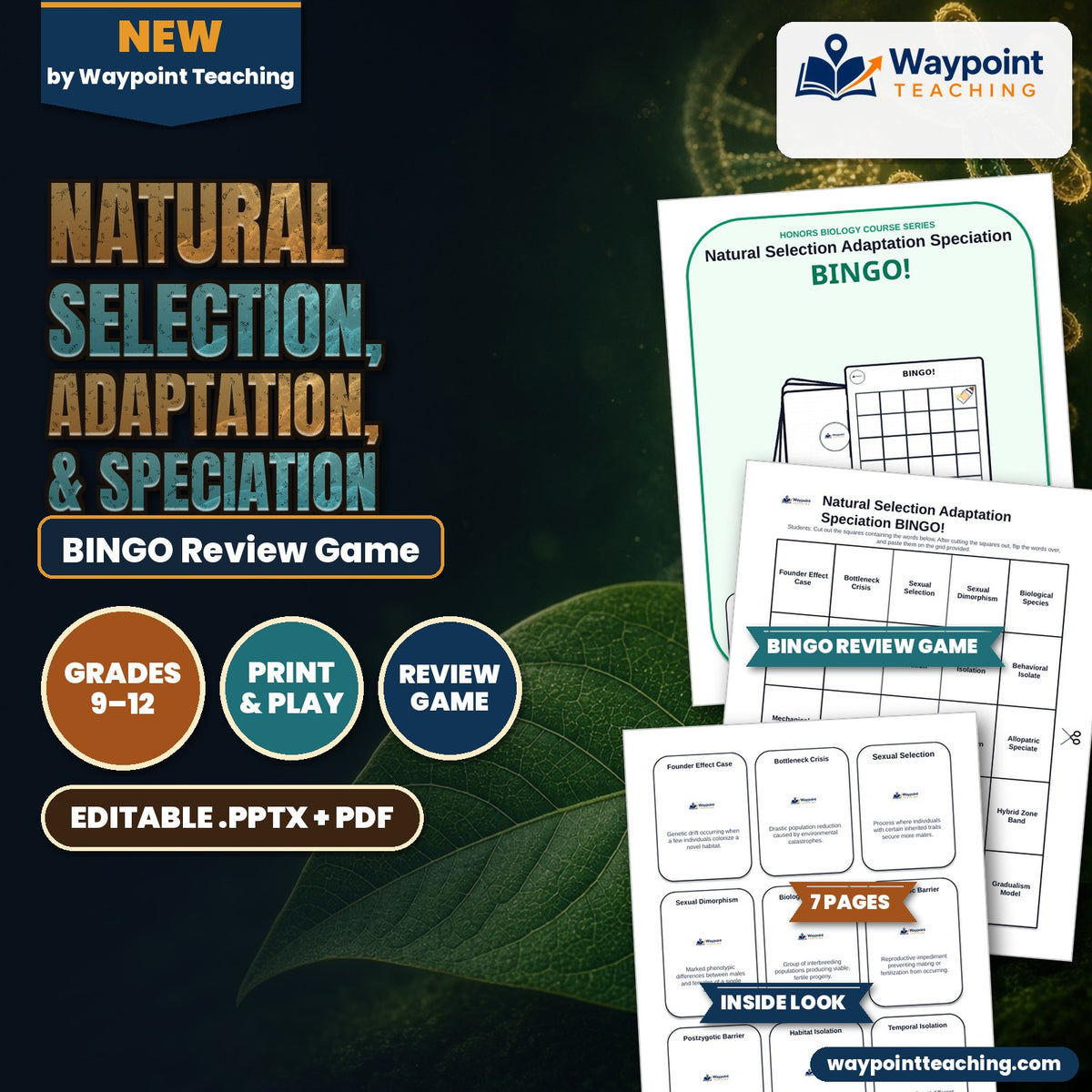 Natural Selection, Adaptation, & Speciation BINGO Review Game cover