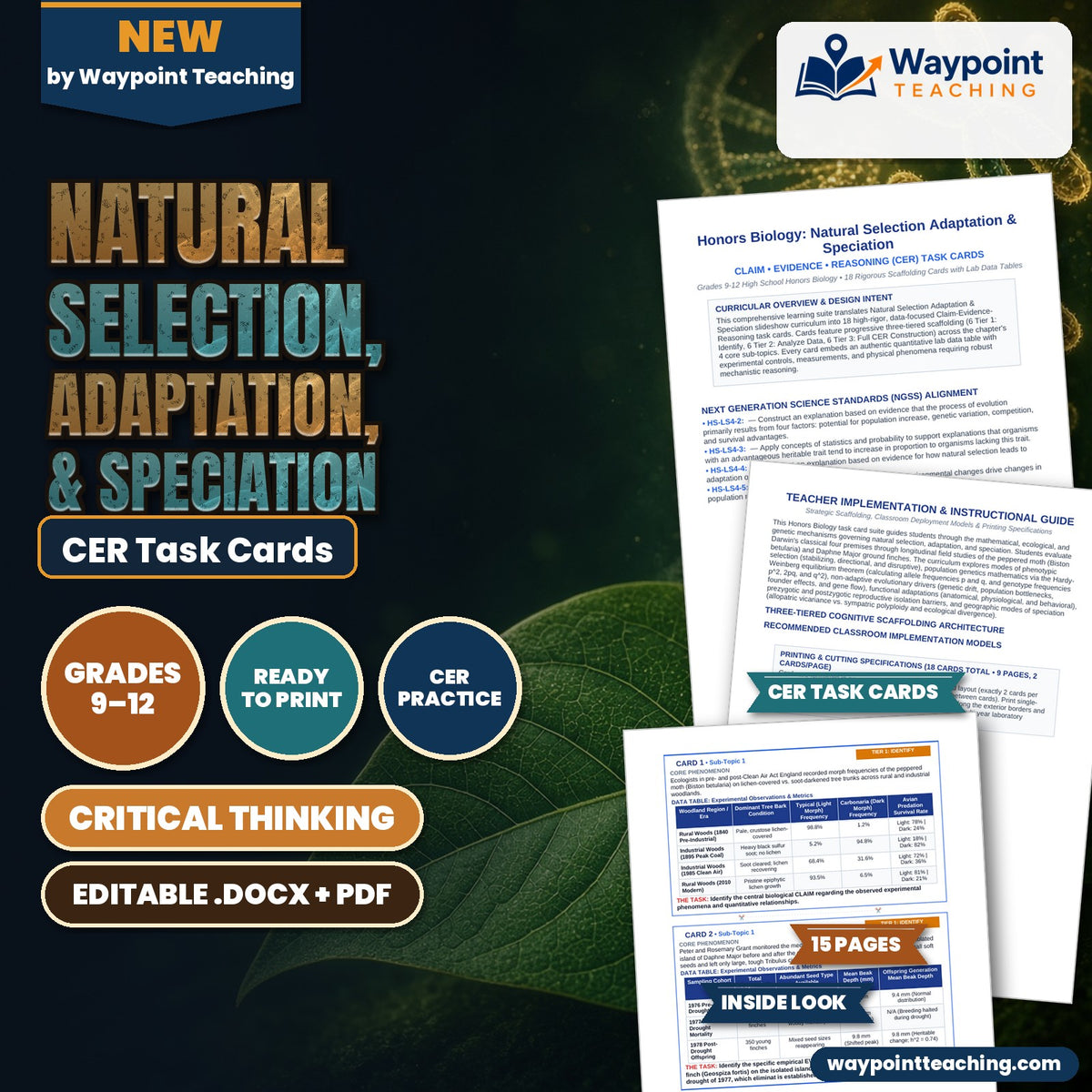 Natural Selection, Adaptation, & Speciation CER Task Cards cover