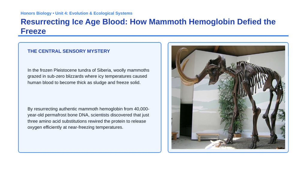 Natural Selection, Adaptation, & Speciation Phenomena-Based Lesson: Resurrecting Ice Age Blood: How Mammoth Hemoglobin Defied the Freeze Presentation sample page