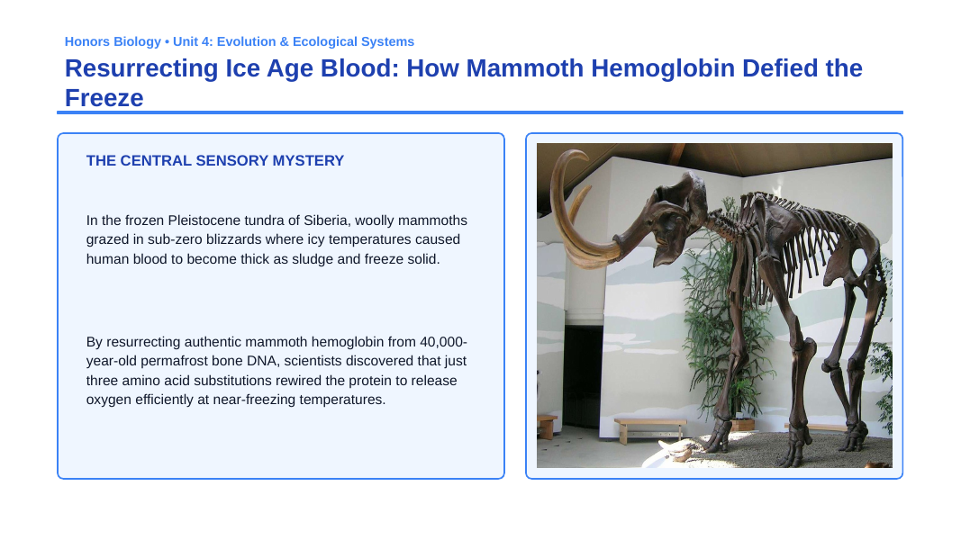 Natural Selection, Adaptation, & Speciation Phenomena-Based Lesson: Resurrecting Ice Age Blood: How Mammoth Hemoglobin Defied the Freeze Presentation sample page