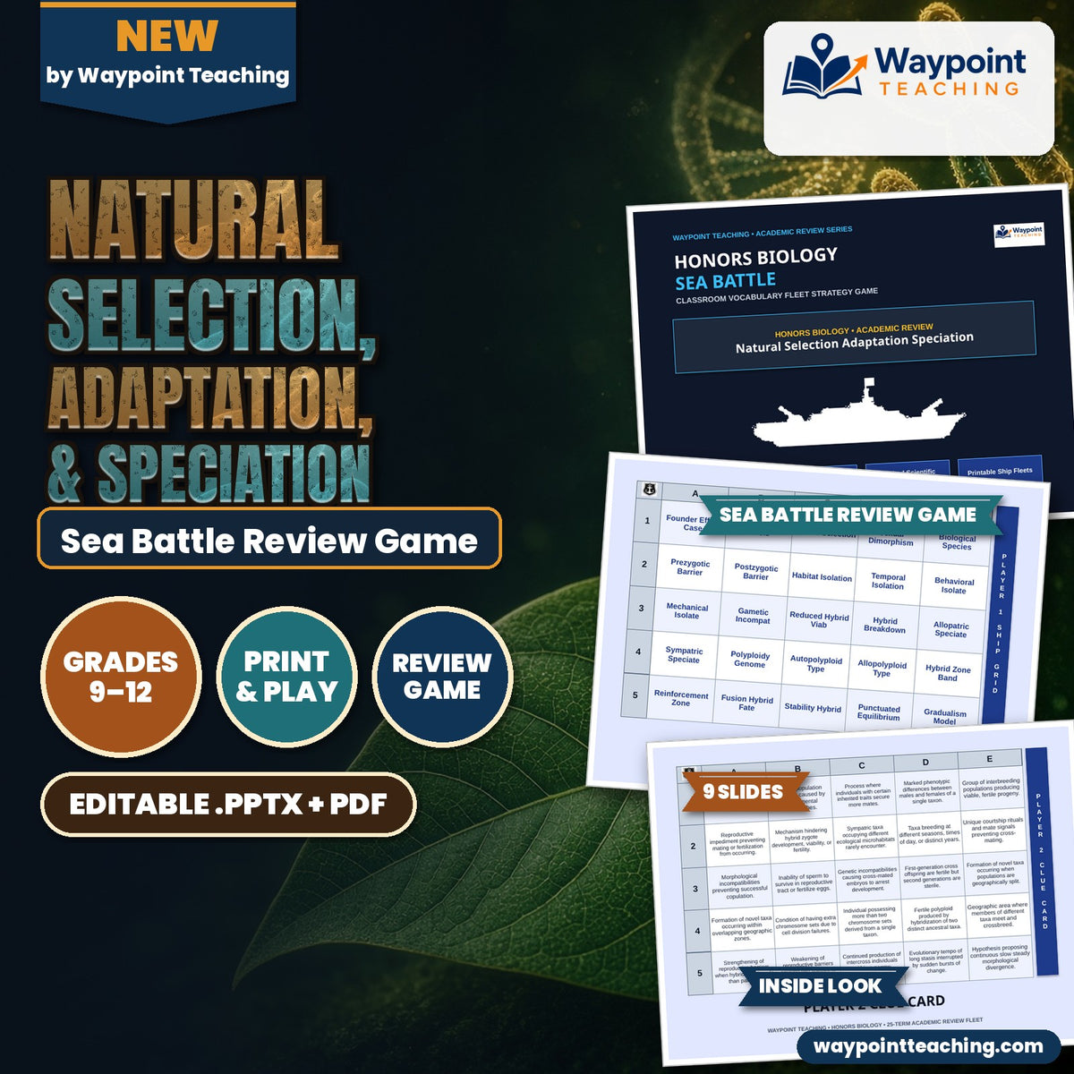 Natural Selection, Adaptation, & Speciation Sea Battle Review Game cover