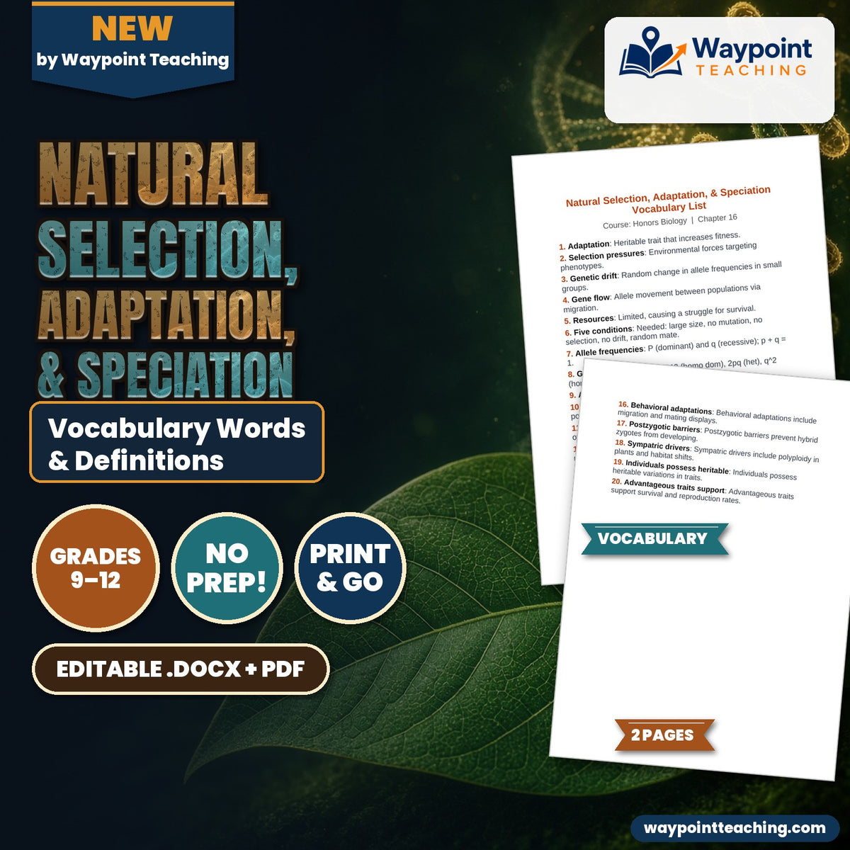 Natural Selection, Adaptation, & Speciation Vocabulary Words & Definitions cover