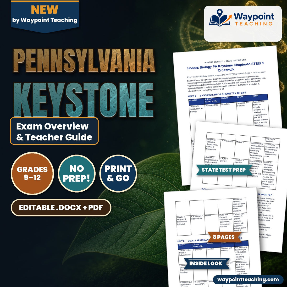 Pennsylvania Keystone Exam Overview & Teacher Guide cover