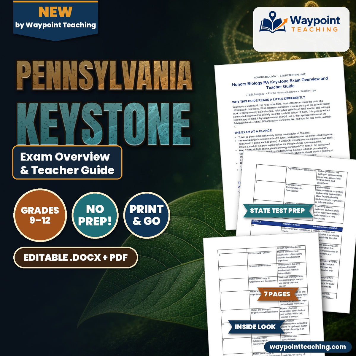 Pennsylvania Keystone Exam Overview & Teacher Guide cover