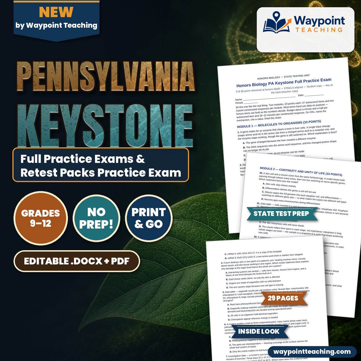 Pennsylvania Keystone Full Practice Exams & Retest Packs Practice Exam cover