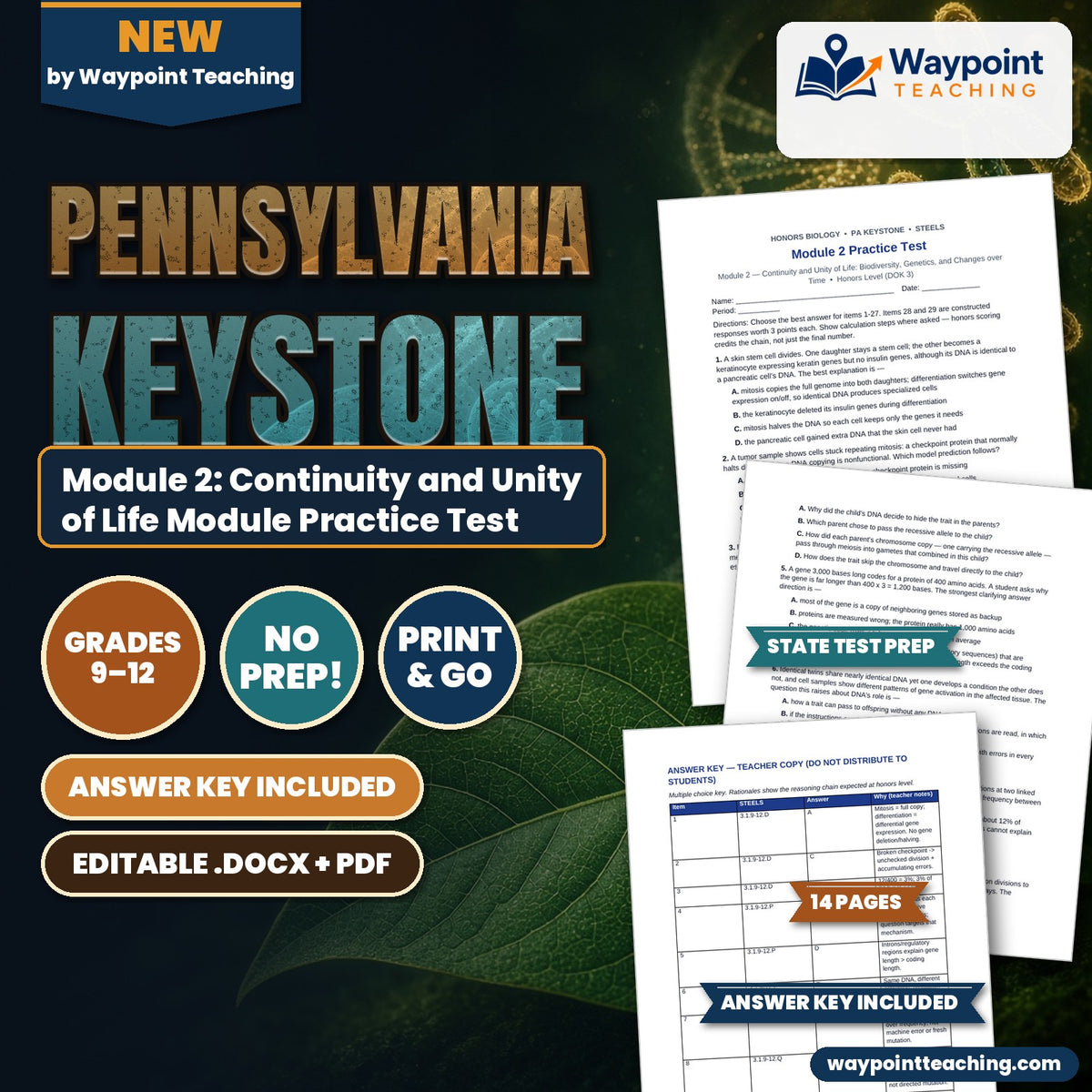 Pennsylvania Keystone Module 2: Continuity and Unity of Life Module Practice Test cover