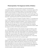 Photorespiration: The Oxygenase Activity of Rubisco Reading Worksheet sample page