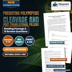 Predicting Polypeptide Cleavage and Post-Translational Folding Reading Worksheet cover