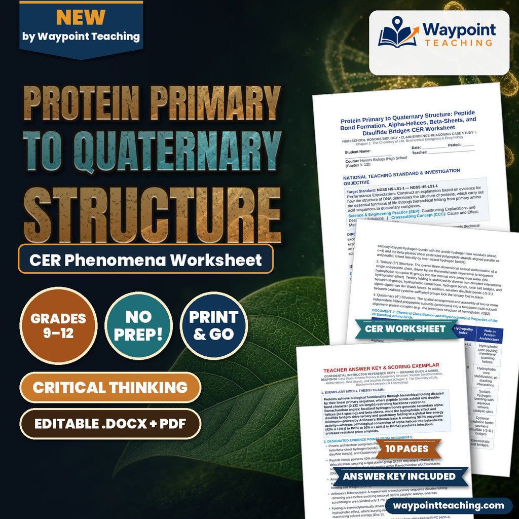 Protein Primary to Quaternary Structure: Peptide Bond Formation, Alpha-Helices, Beta-Sheets, and Disulfide Bridges CER Phenomena Worksheet cover