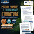 Protein Primary to Quaternary Structure: Peptide Bond Formation, Alpha-Helices, Beta-Sheets, and Disulfide Bridges CER Phenomena Worksheet cover