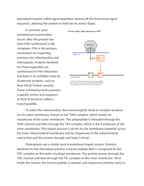 Protein Sorting and Organelle Signal Sequences Reading Worksheet sample page
