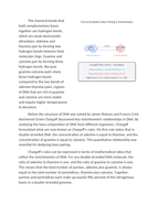Purine and Pyrimidine Stoichiometry in Nucleic Acids Reading Worksheet sample page