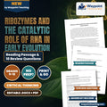 Ribozymes and the Catalytic Role of RNA in Early Evolution Reading Worksheet cover