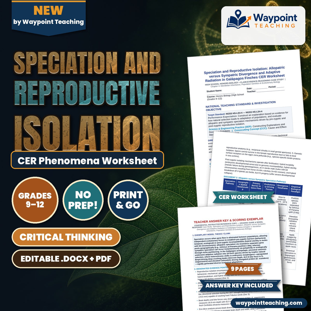 Speciation and Reproductive Isolation: Allopatric versus Sympatric Divergence and Adaptive Radiation in Galápagos Finches CER Phenomena Worksheet cover