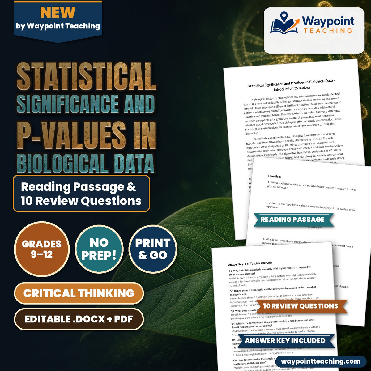 Statistical Significance and P-Values in Biological Data Reading Worksheet cover