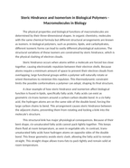 Steric Hindrance and Isomerism in Biological Polymers Reading Worksheet sample page