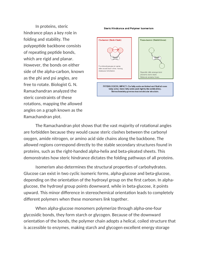Steric Hindrance and Isomerism in Biological Polymers Reading Worksheet sample page