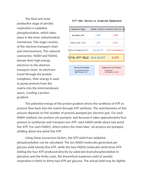 Stoichiometry of ATP Yield in Aerobic vs Anaerobic Pathways Reading Worksheet sample page