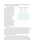 Structural Variations and Digestibility of Cellulose vs. Glycogen Reading Worksheet sample page