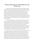 Telomeres Cellular Senescence and the Hayflick Limit Reading Worksheet sample page