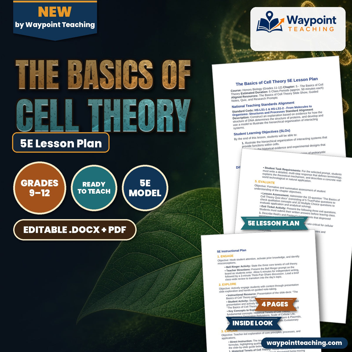 The Basics of Cell Theory 5E Lesson Plan cover