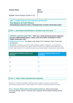 The Basics of Cell Theory Phenomena-Based Lesson: The Meter-Long Single Cell: Caulerpa's Giant Coenocytic Architecture Student Response Sheet sample page