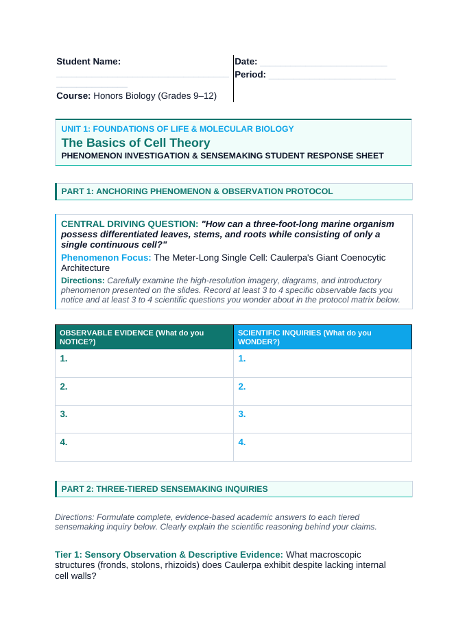 The Basics of Cell Theory Phenomena-Based Lesson: The Meter-Long Single Cell: Caulerpa's Giant Coenocytic Architecture Student Response Sheet sample page