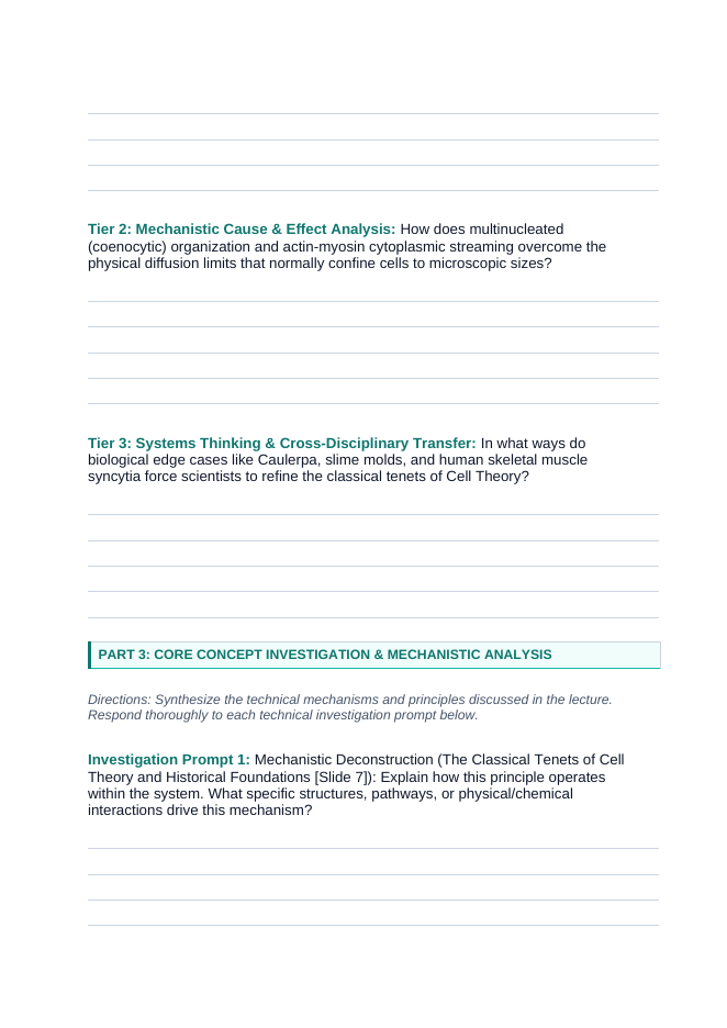 The Basics of Cell Theory Phenomena-Based Lesson: The Meter-Long Single Cell: Caulerpa's Giant Coenocytic Architecture Student Response Sheet sample page