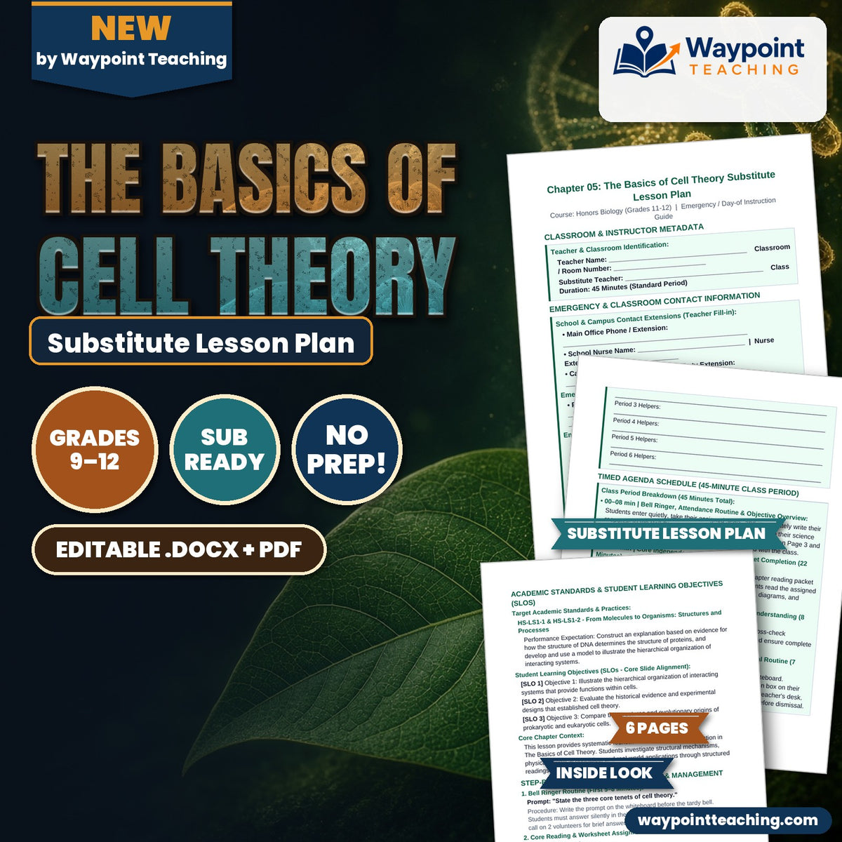 The Basics of Cell Theory Substitute Lesson Plan cover