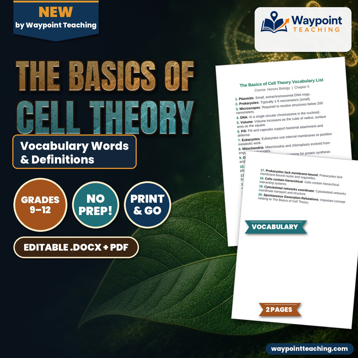 The Basics of Cell Theory Vocabulary Words & Definitions cover