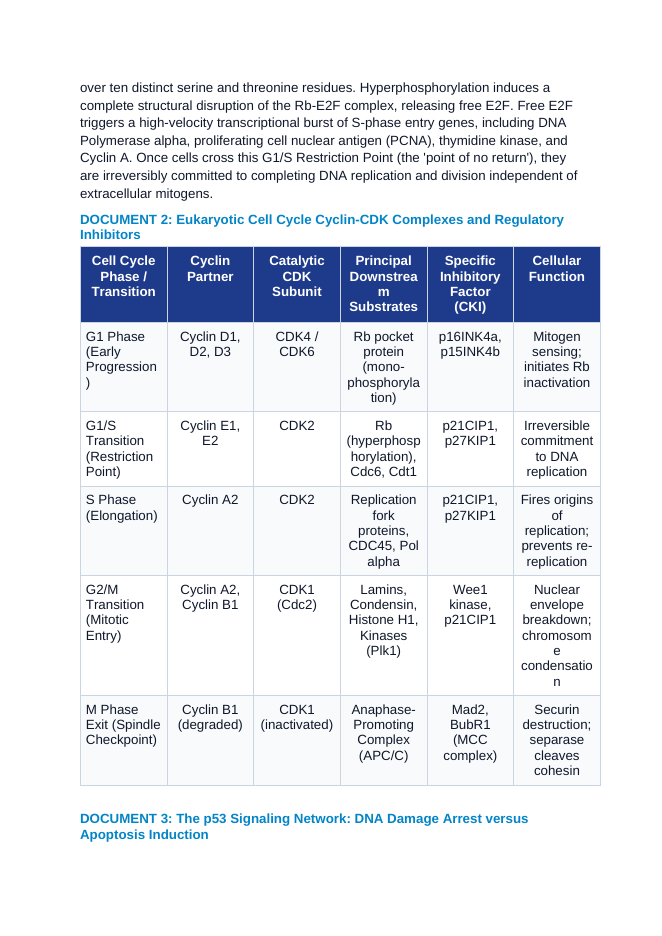 The Eukaryotic Cell Cycle and Molecular Checkpoints: Cyclin-CDK Oscillations, p53 Gatekeeper Dynamics, and Apoptosis CER Phenomena Worksheet sample page