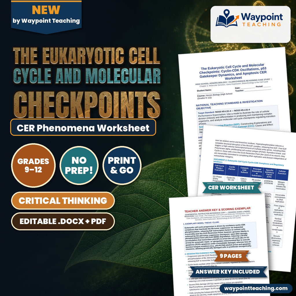 The Eukaryotic Cell Cycle and Molecular Checkpoints: Cyclin-CDK Oscillations, p53 Gatekeeper Dynamics, and Apoptosis CER Phenomena Worksheet cover