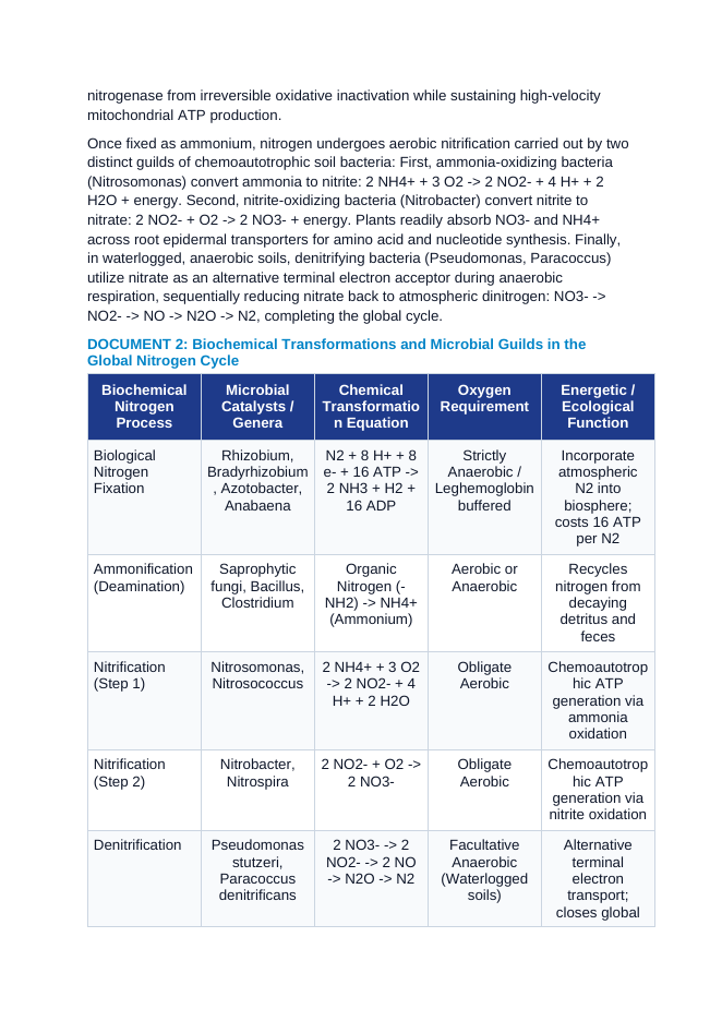 The Global Nitrogen and Phosphorus Cycles: Rhizobial Nitrogenase Fixation, Nitrification Kinetics, and Sedimentary Phosphate Weathering CER Phenomena Worksheet sample page