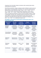 The Global Nitrogen and Phosphorus Cycles: Rhizobial Nitrogenase Fixation, Nitrification Kinetics, and Sedimentary Phosphate Weathering CER Phenomena Worksheet sample page